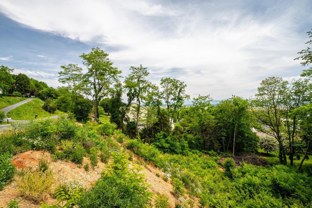 VALLEY VIEW DR, MOUNT SIDNEY, Virginia 24467, ,Land,VALLEY VIEW DR,673007 MLS # 673007