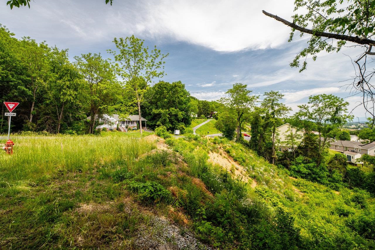 VALLEY VIEW DR, MOUNT SIDNEY, Virginia 24467, ,Land,VALLEY VIEW DR,673007 MLS # 673007