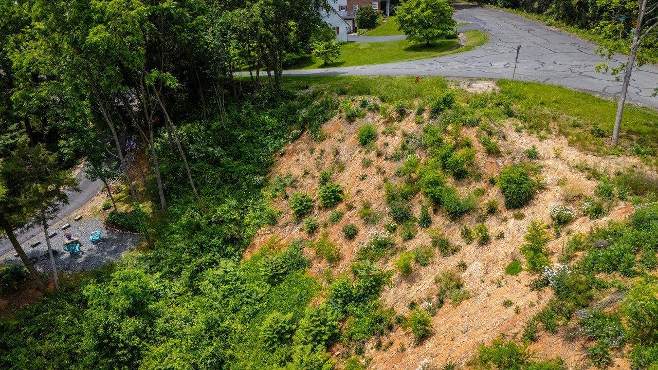 VALLEY VIEW DR, MOUNT SIDNEY, Virginia 24467, ,Land,VALLEY VIEW DR,673007 MLS # 673007