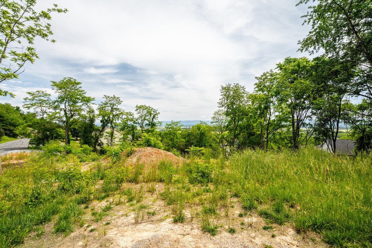 VALLEY VIEW DR, MOUNT SIDNEY, Virginia 24467, ,Land,VALLEY VIEW DR,673007 MLS # 673007