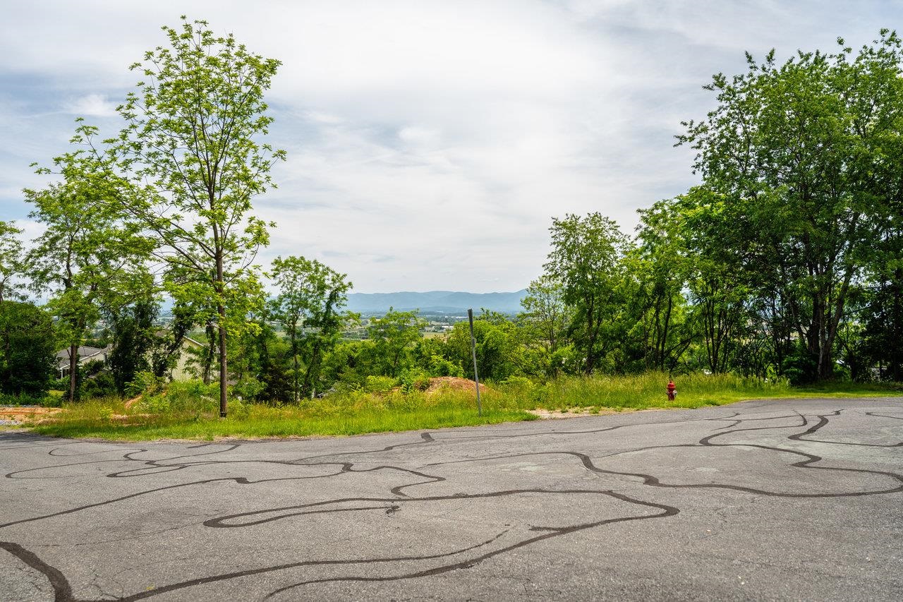 VALLEY VIEW DR, MOUNT SIDNEY, Virginia 24467, ,Land,VALLEY VIEW DR,673007 MLS # 673007