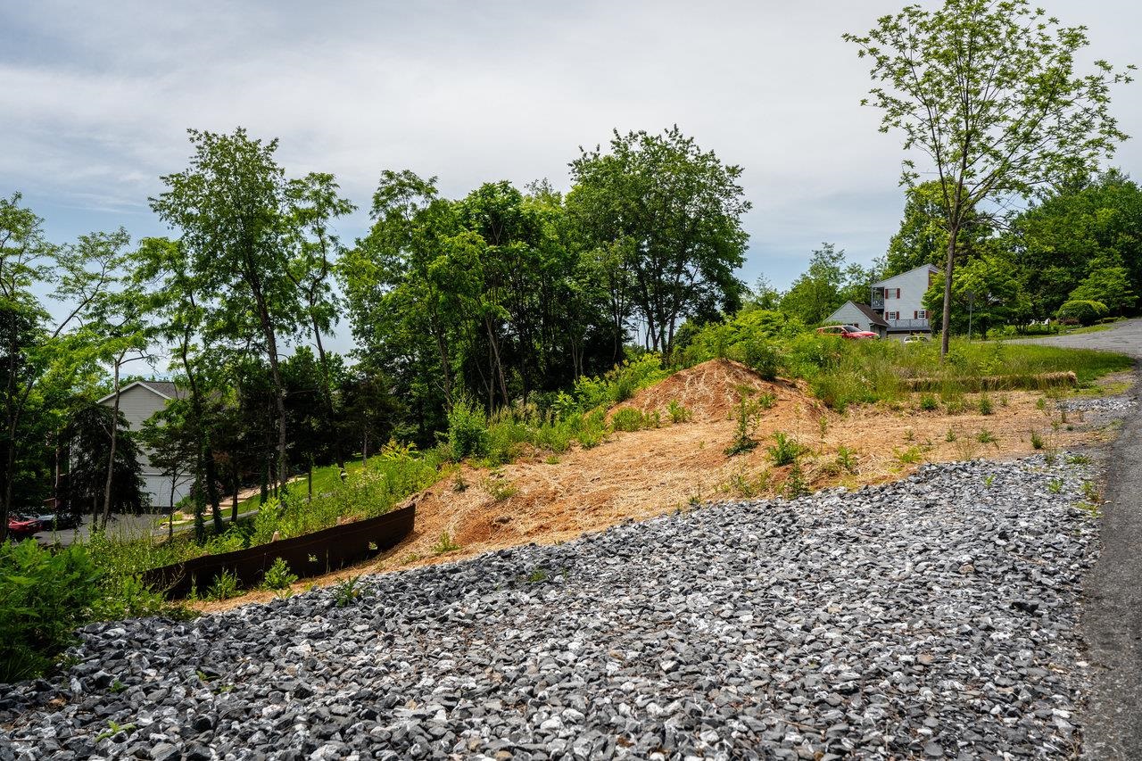 VALLEY VIEW DR, MOUNT SIDNEY, Virginia 24467, ,Land,VALLEY VIEW DR,673007 MLS # 673007