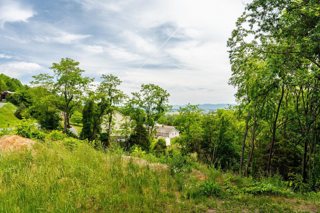 VALLEY VIEW DR, MOUNT SIDNEY, Virginia 24467, ,Land,VALLEY VIEW DR,673007 MLS # 673007