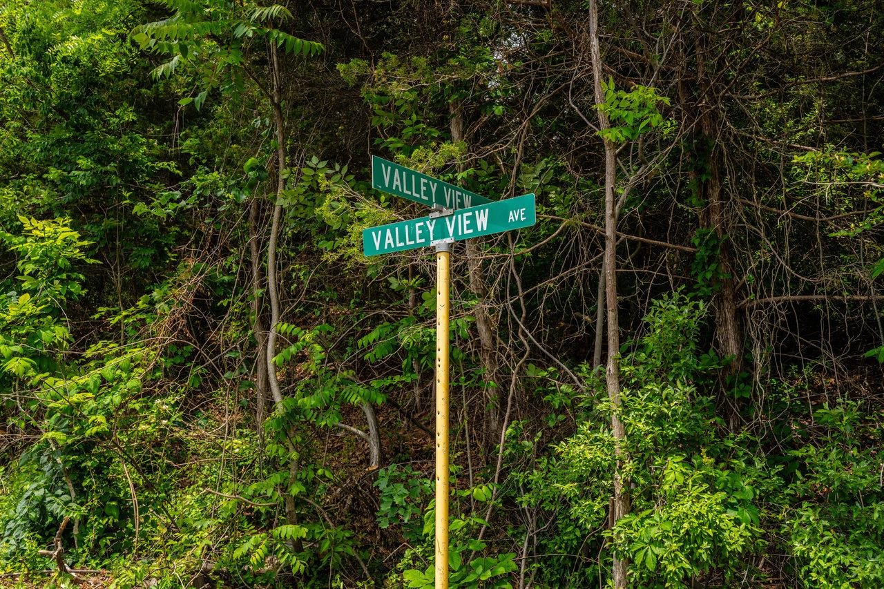 VALLEY VIEW DR, MOUNT SIDNEY, Virginia 24467, ,Land,VALLEY VIEW DR,673007 MLS # 673007