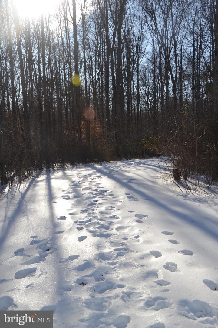 6015 TICONDEROGA CT, BURKE, Virginia 22015, 4 Bedrooms Bedrooms, ,3 BathroomsBathrooms,Residential,For sale,6015 TICONDEROGA CT,VAFX2283924 MLS # VAFX2283924