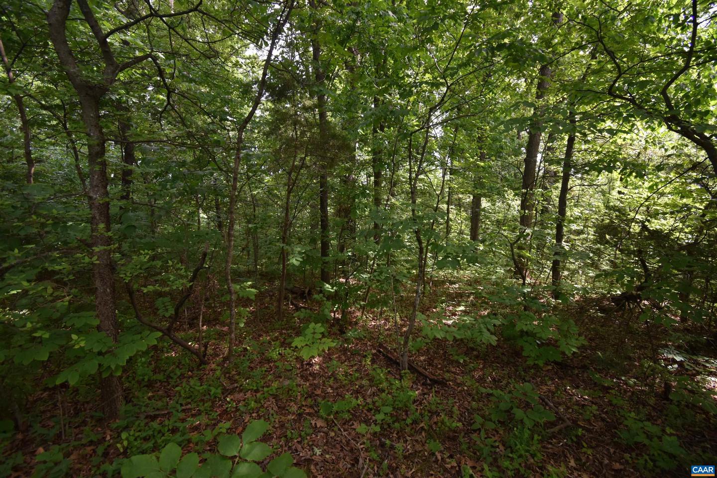 14315 WILLIS CT #15, ORANGE, Virginia 22960, ,Land,For sale,14315 WILLIS CT #15,672993 MLS # 672993