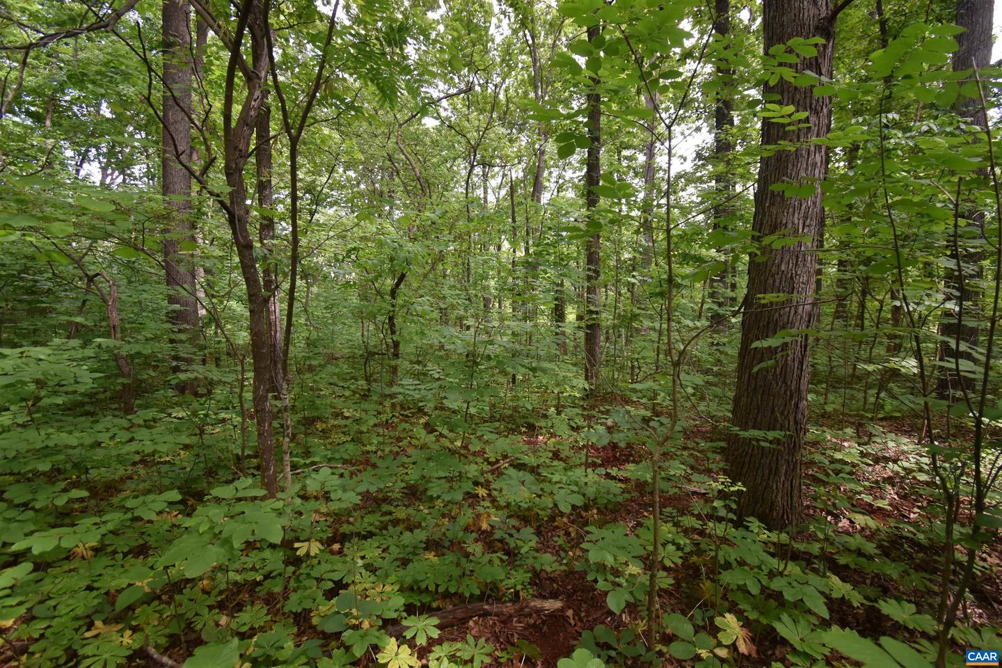 14315 WILLIS CT #15, ORANGE, Virginia 22960, ,Land,For sale,14315 WILLIS CT #15,672993 MLS # 672993