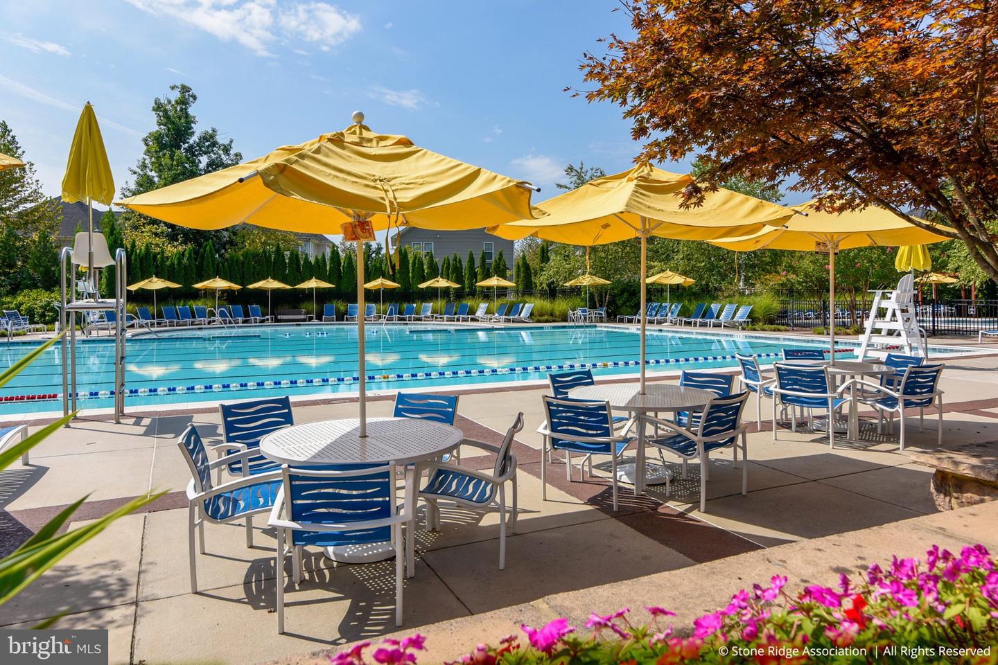 41919 MORELAND MINE TER, ALDIE, Virginia 20105, 3 Bedrooms Bedrooms, 13 Rooms Rooms,3 BathroomsBathrooms,Residential,For sale,41919 MORELAND MINE TER,VALO2113990 MLS # VALO2113990