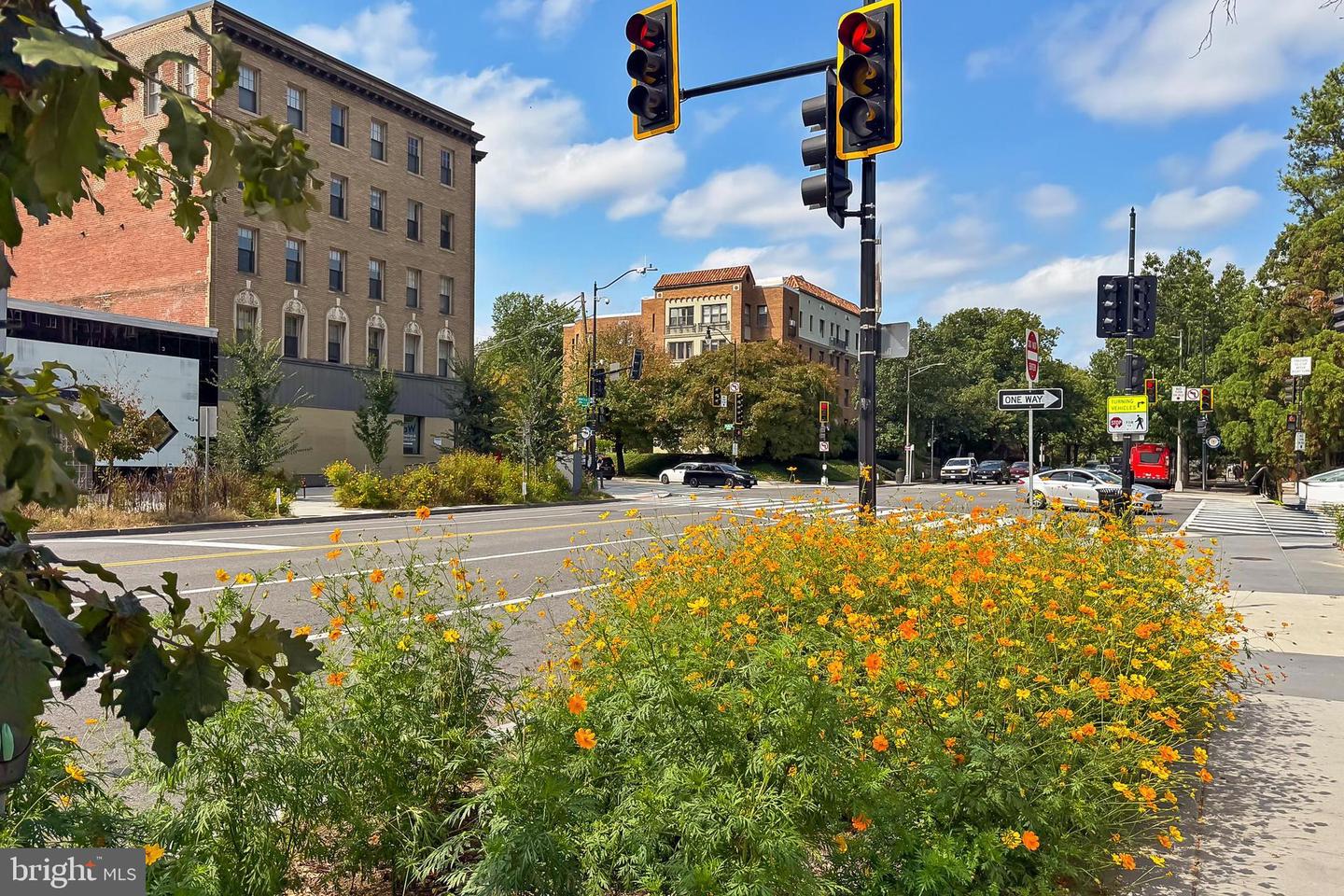 3600 CONNECTICUT AVE NW #105, WASHINGTON, District Of Columbia 20008, 3 Rooms Rooms,1 BathroomBathrooms,Residential,For sale,3600 CONNECTICUT AVE NW #105,DCDC2244222 MLS # DCDC2244222