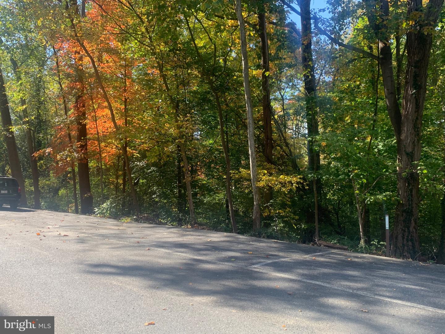 4100 W ST NW #416, WASHINGTON, District Of Columbia 20007, 1 Bedroom Bedrooms, ,1 BathroomBathrooms,Residential,For sale,4100 W ST NW #416,DCDC2244290 MLS # DCDC2244290