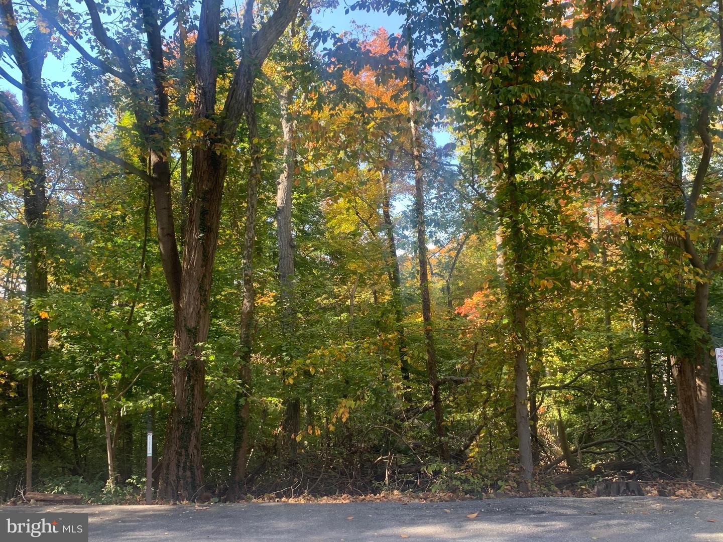 4100 W ST NW #416, WASHINGTON, District Of Columbia 20007, 1 Bedroom Bedrooms, ,1 BathroomBathrooms,Residential,For sale,4100 W ST NW #416,DCDC2244290 MLS # DCDC2244290