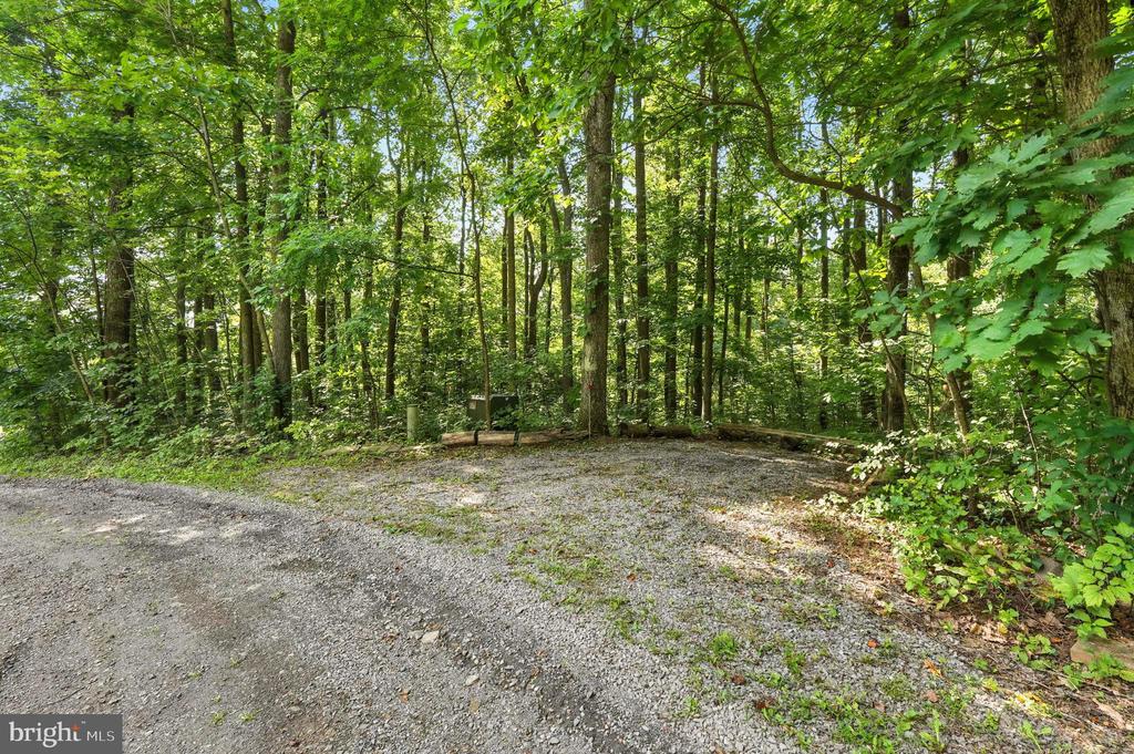 46 ROCK RIDGE LN, CHESTER GAP, Virginia, 4 Bedrooms Bedrooms, ,4 BathroomsBathrooms,Residential,46 ROCK RIDGE LN,VARP2002240 MLS # VARP2002240