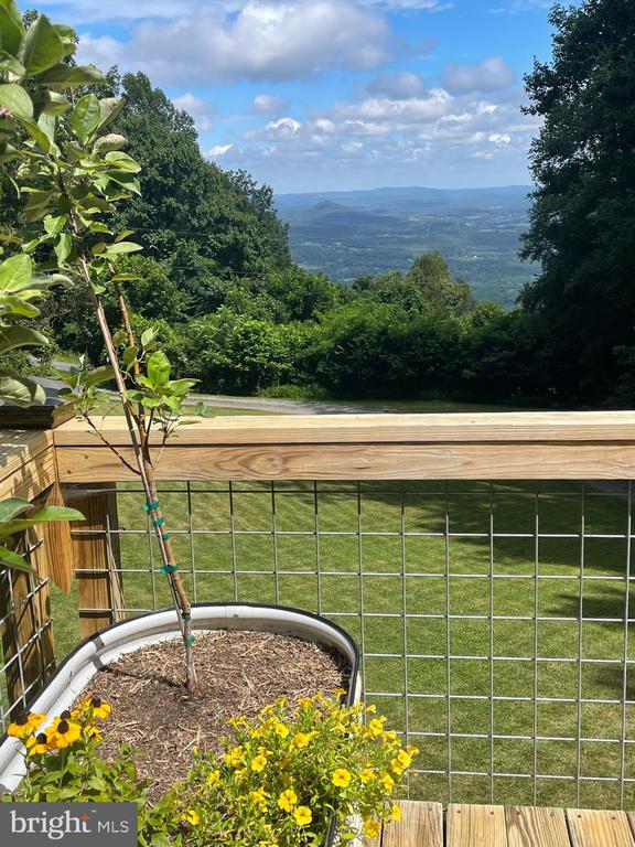 46 ROCK RIDGE LN, CHESTER GAP, Virginia, 4 Bedrooms Bedrooms, ,4 BathroomsBathrooms,Residential,46 ROCK RIDGE LN,VARP2002240 MLS # VARP2002240