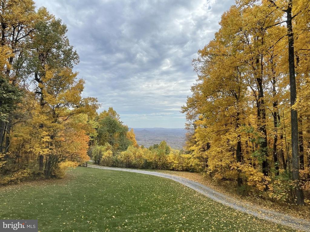 46 ROCK RIDGE LN, CHESTER GAP, Virginia, 4 Bedrooms Bedrooms, ,4 BathroomsBathrooms,Residential,46 ROCK RIDGE LN,VARP2002240 MLS # VARP2002240