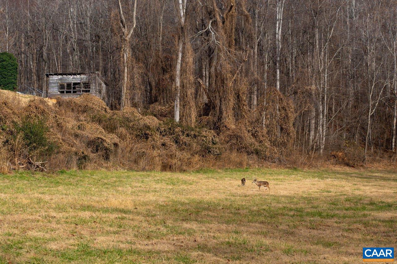 0 FOOTHILLS RD, CALLAWAY, Virginia 24067, ,Farm,For sale,0 FOOTHILLS RD,673021 MLS # 673021