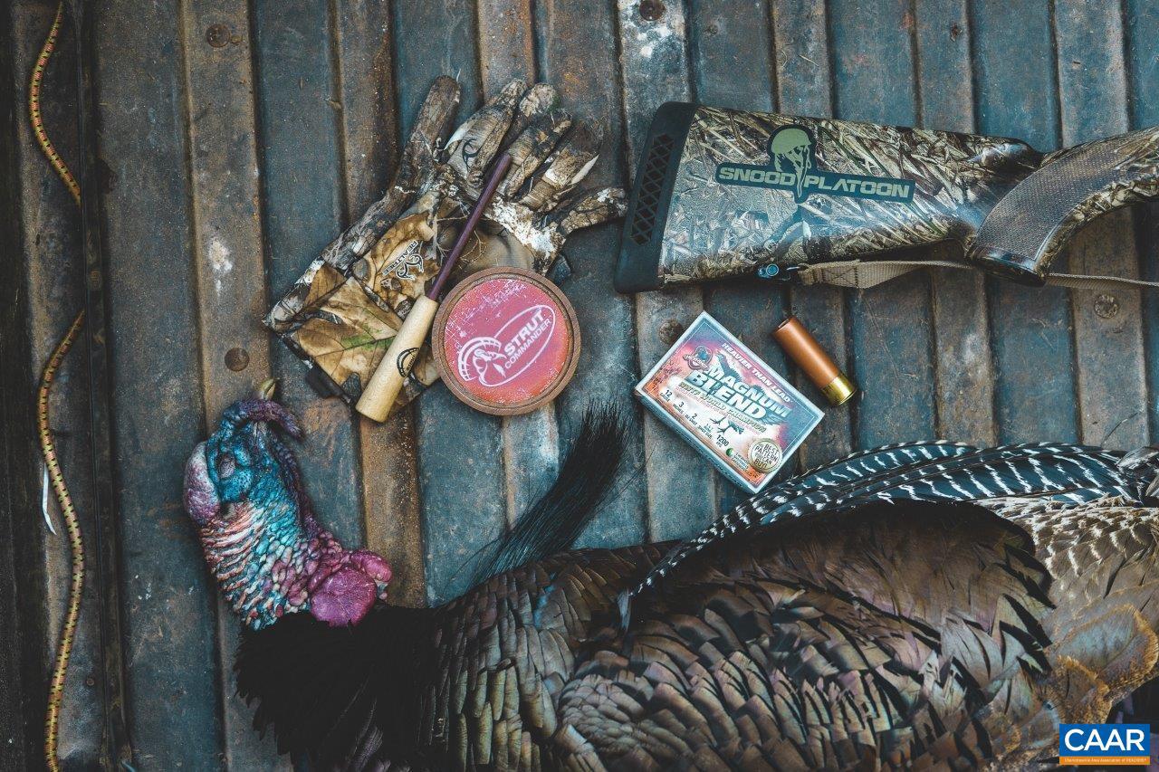 0 FOOTHILLS RD, CALLAWAY, Virginia 24067, ,Farm,For sale,0 FOOTHILLS RD,673021 MLS # 673021