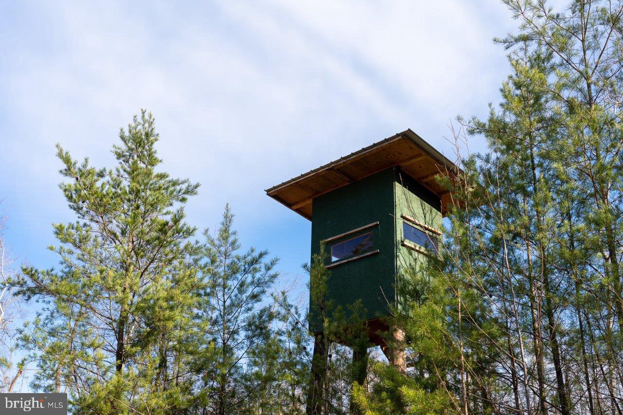 0 FOOTHILLS RD, CALLAWAY, Virginia 24067, ,Farm,For sale,0 FOOTHILLS RD,VAFK2000102 MLS # VAFK2000102