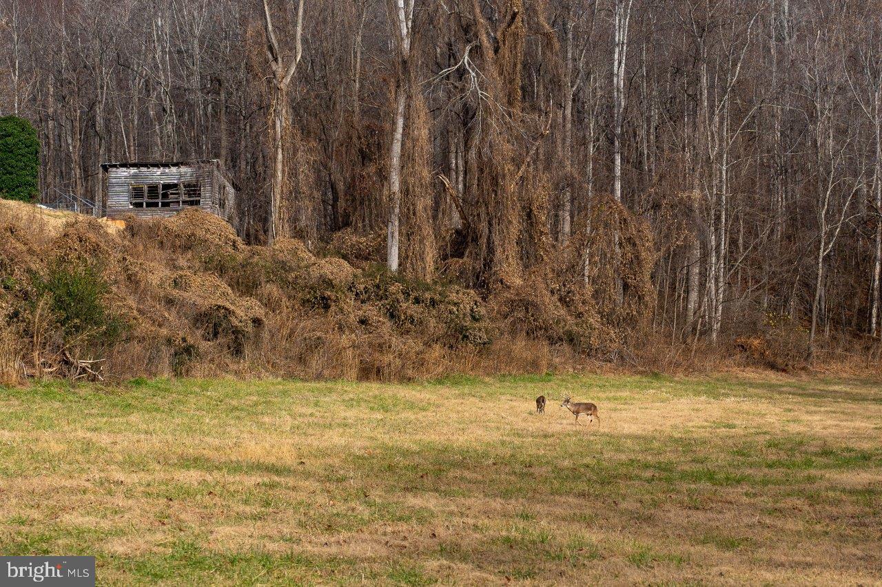 0 FOOTHILLS RD, CALLAWAY, Virginia 24067, ,Farm,For sale,0 FOOTHILLS RD,VAFK2000102 MLS # VAFK2000102