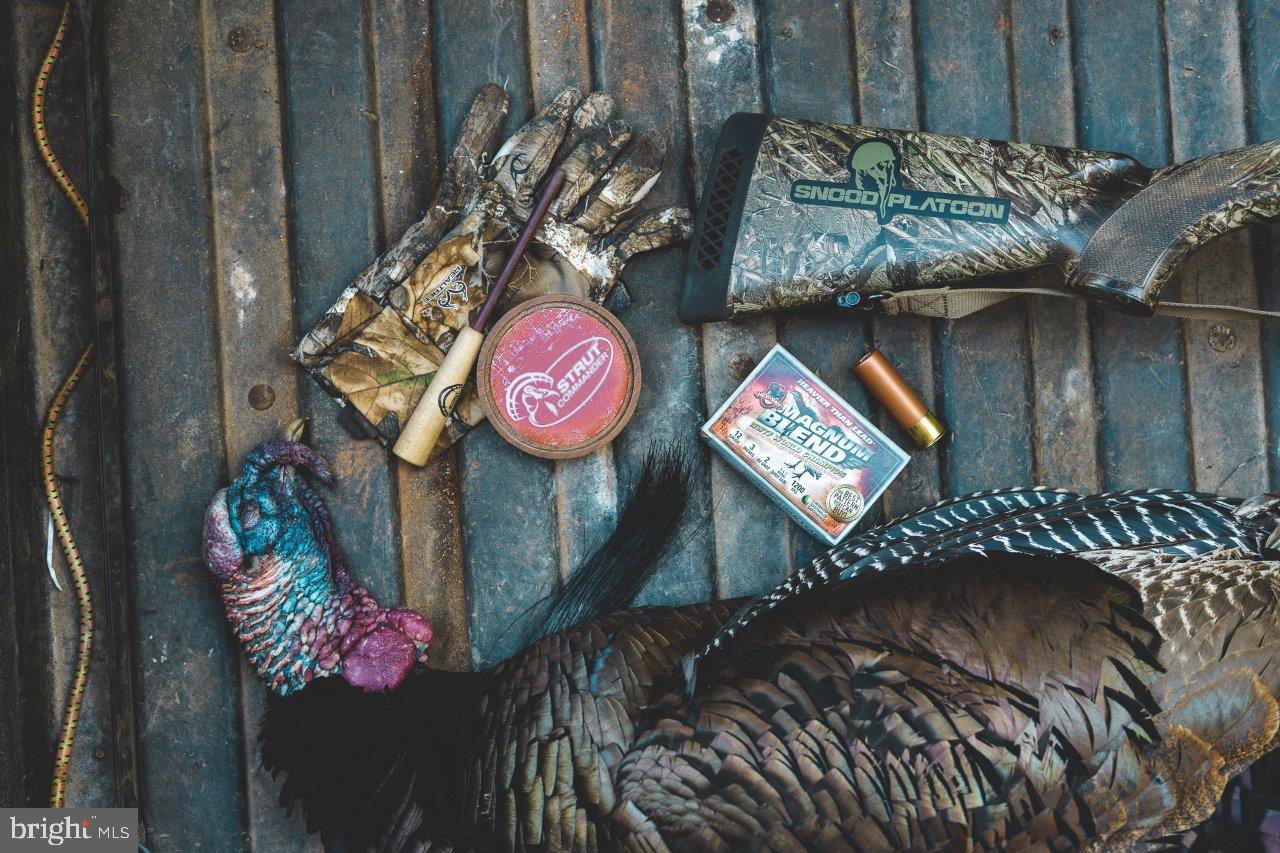 0 FOOTHILLS RD, CALLAWAY, Virginia 24067, ,Farm,For sale,0 FOOTHILLS RD,VAFK2000102 MLS # VAFK2000102