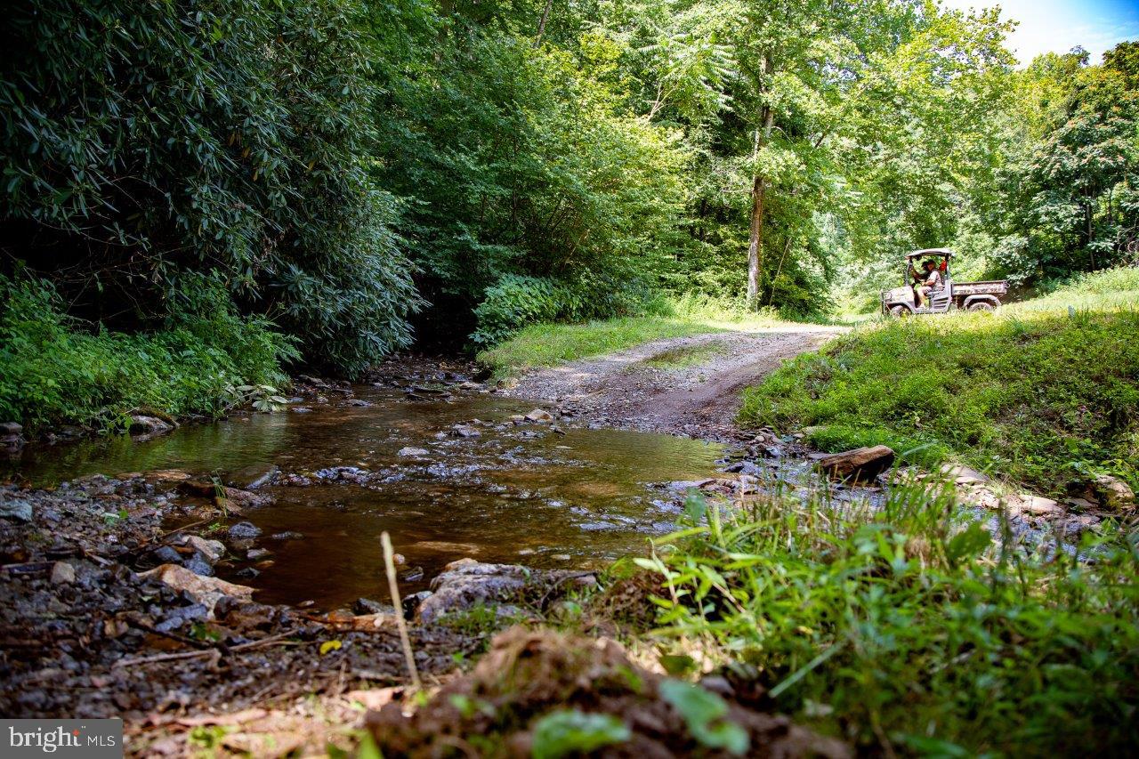 0 FOOTHILLS RD, CALLAWAY, Virginia 24067, ,Farm,For sale,0 FOOTHILLS RD,VAFK2000102 MLS # VAFK2000102