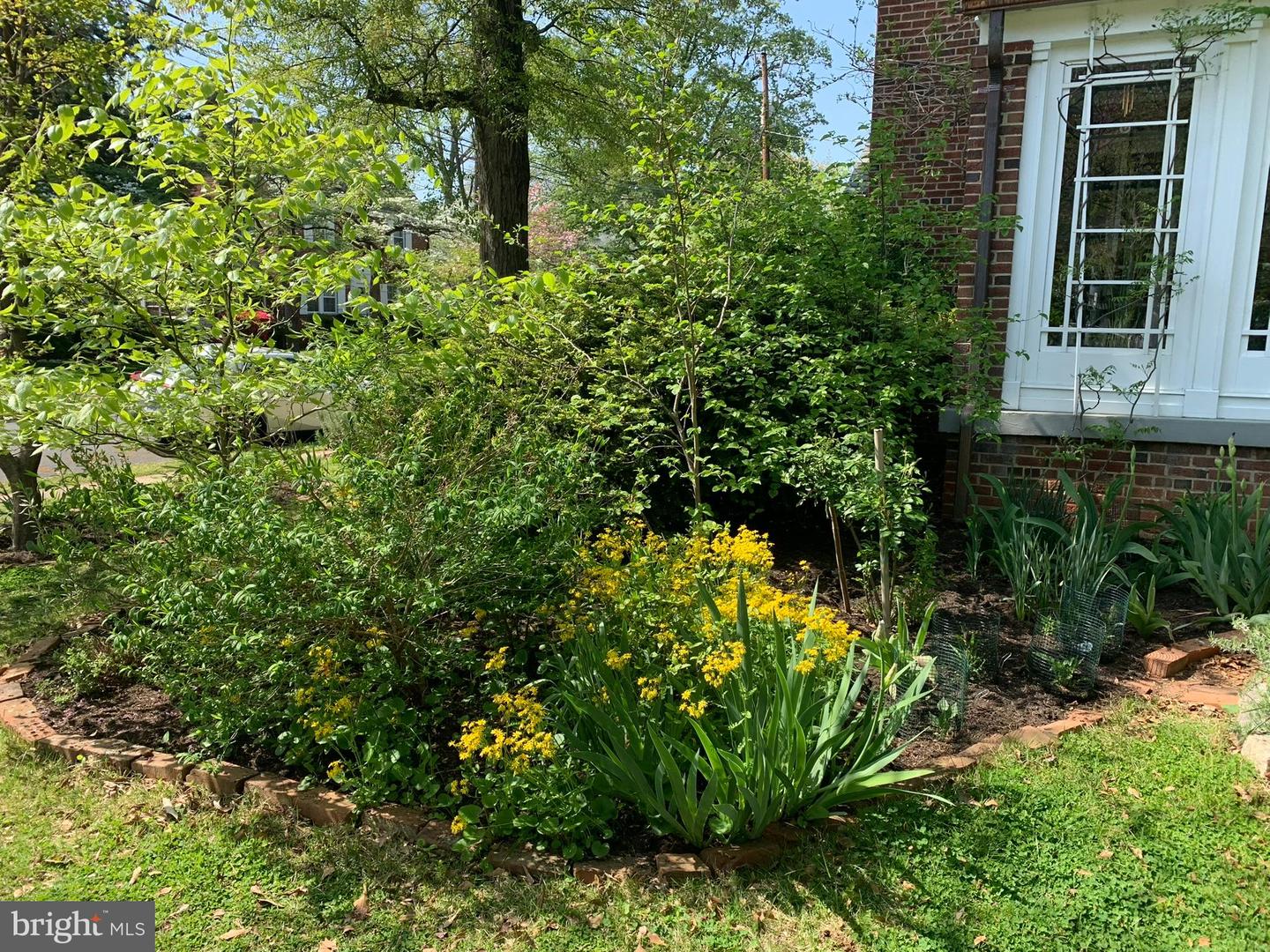 305 N KENMORE ST, ARLINGTON, Virginia 22201, 3 Bedrooms Bedrooms, ,3 BathroomsBathrooms,Residential,For sale,305 N KENMORE ST,VAAR2065702 MLS # VAAR2065702