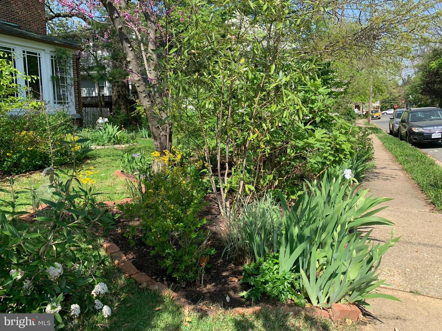 305 N KENMORE ST, ARLINGTON, Virginia 22201, 3 Bedrooms Bedrooms, ,3 BathroomsBathrooms,Residential,For sale,305 N KENMORE ST,VAAR2065702 MLS # VAAR2065702