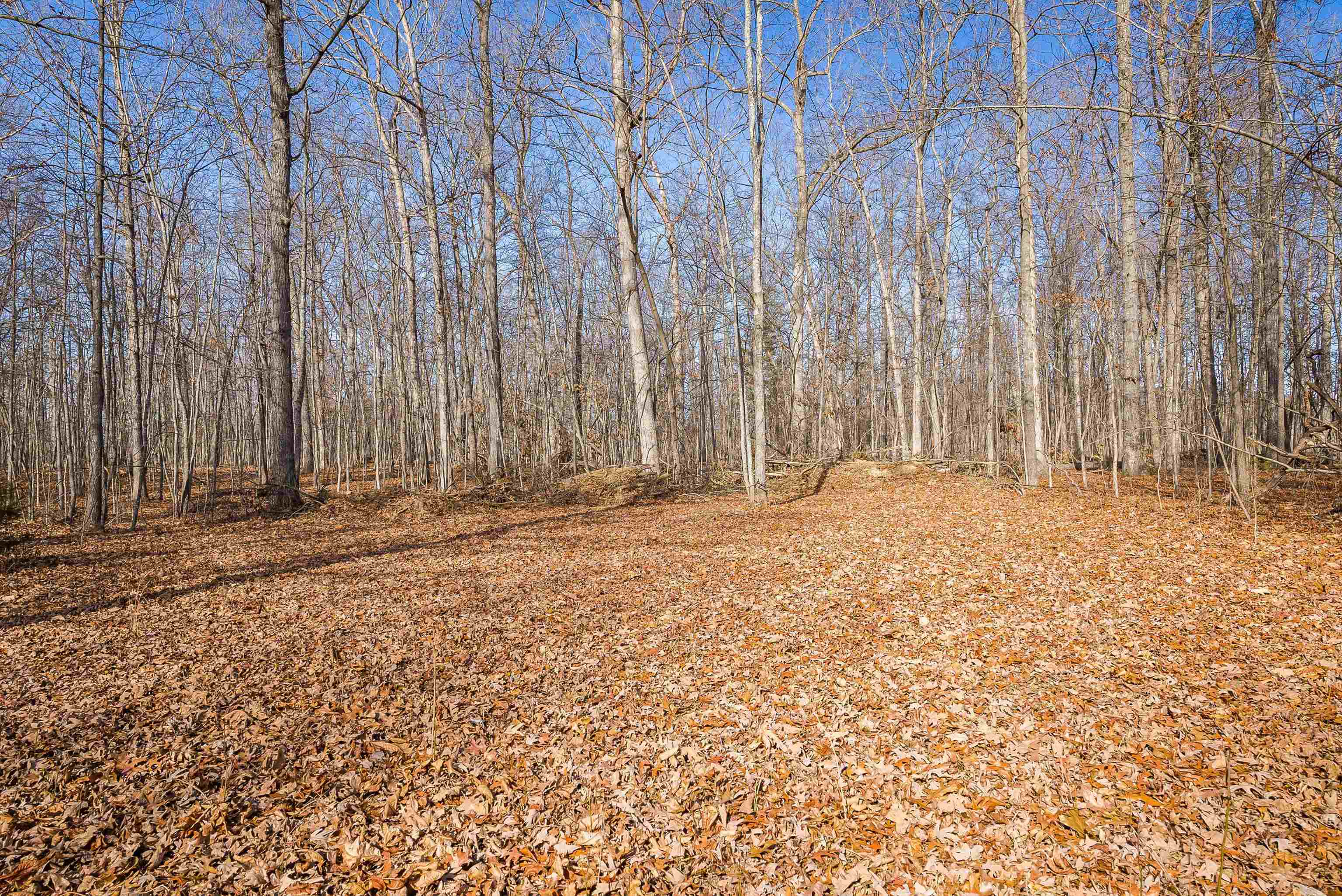 2851 THOROFARE RD, ELKTON, Virginia 22827, 2 Bedrooms Bedrooms, ,1 BathroomBathrooms,Residential,2851 THOROFARE RD,673023 MLS # 673023