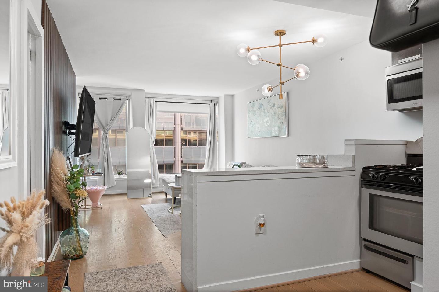 1101 3RD ST SW #610, WASHINGTON, District Of Columbia 20024, 1 Bedroom Bedrooms, ,1 BathroomBathrooms,Residential,For sale,1101 3RD ST SW #610,DCDC2235768 MLS # DCDC2235768