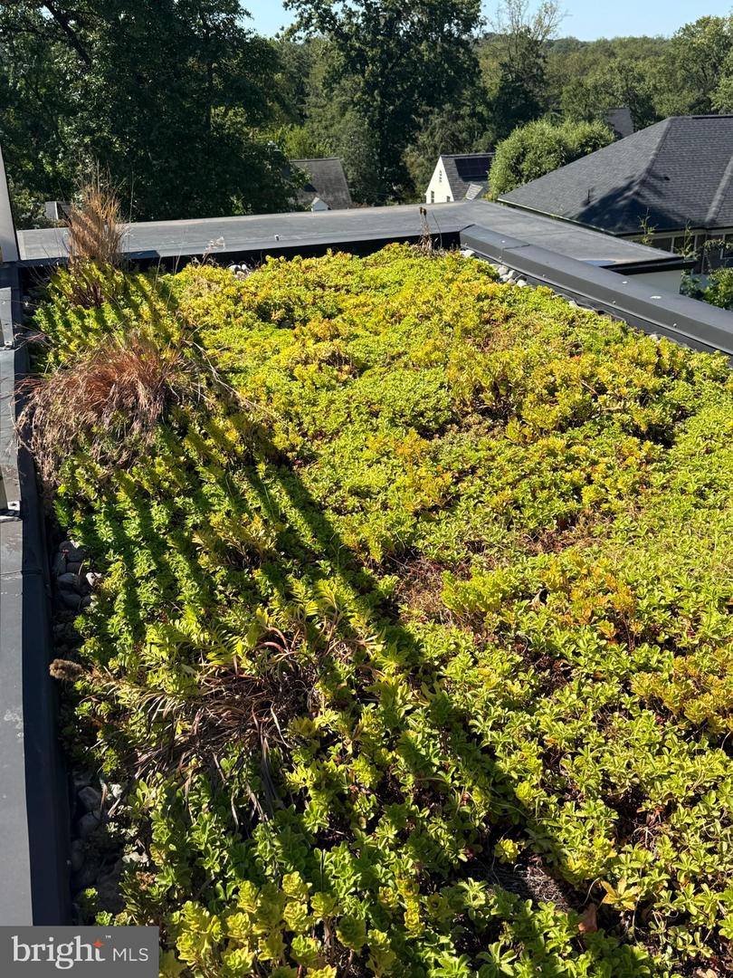 2318 N RICHMOND ST, ARLINGTON, Virginia 22207, 6 Bedrooms Bedrooms, ,6 BathroomsBathrooms,Residential,For sale,2318 N RICHMOND ST,VAAR2067370 MLS # VAAR2067370