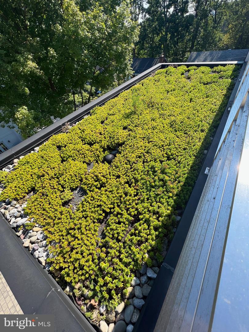 2318 N RICHMOND ST, ARLINGTON, Virginia 22207, 6 Bedrooms Bedrooms, ,6 BathroomsBathrooms,Residential,For sale,2318 N RICHMOND ST,VAAR2067370 MLS # VAAR2067370