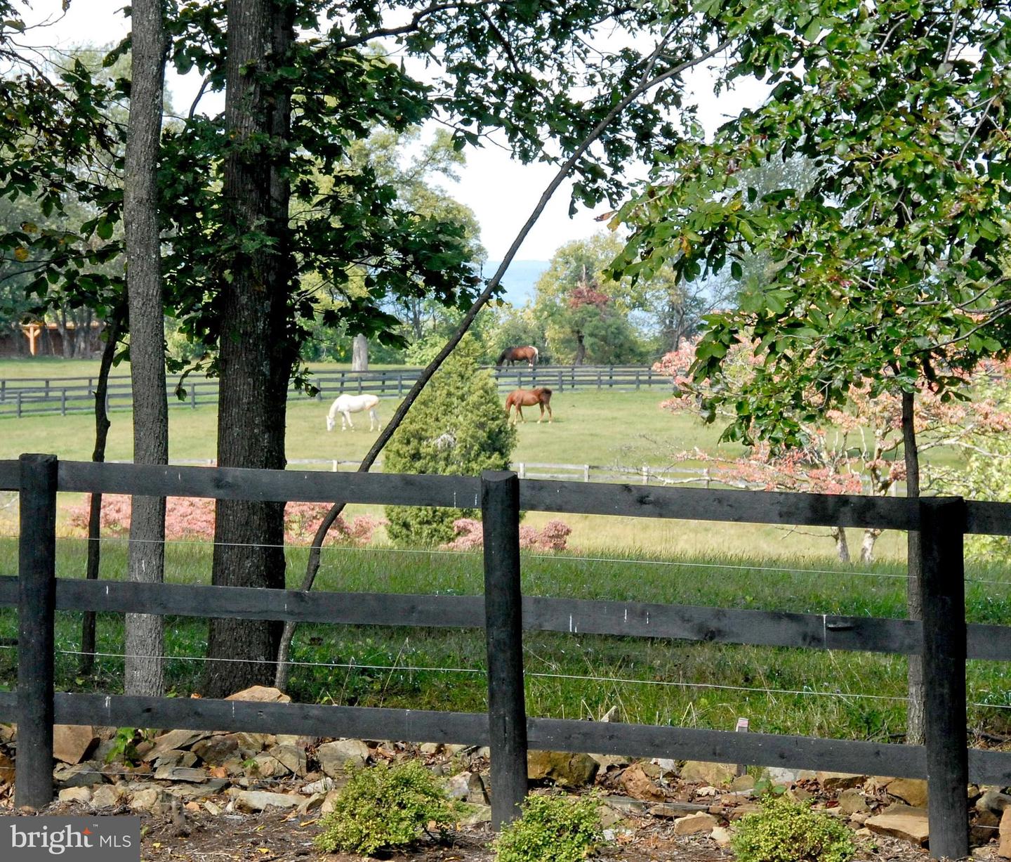 40436 BEACON HILL DR, LEESBURG, Virginia 20176, 5 Bedrooms Bedrooms, ,5 BathroomsBathrooms,Residential,For sale,40436 BEACON HILL DR,VALO2113328 MLS # VALO2113328