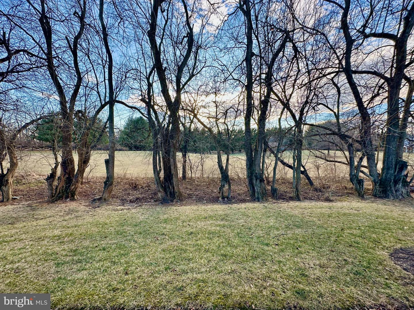 435 MIKEY CT, WINCHESTER, Virginia 22601, 3 Bedrooms Bedrooms, ,2 BathroomsBathrooms,Residential,For sale,435 MIKEY CT,VAFV2038896 MLS # VAFV2038896