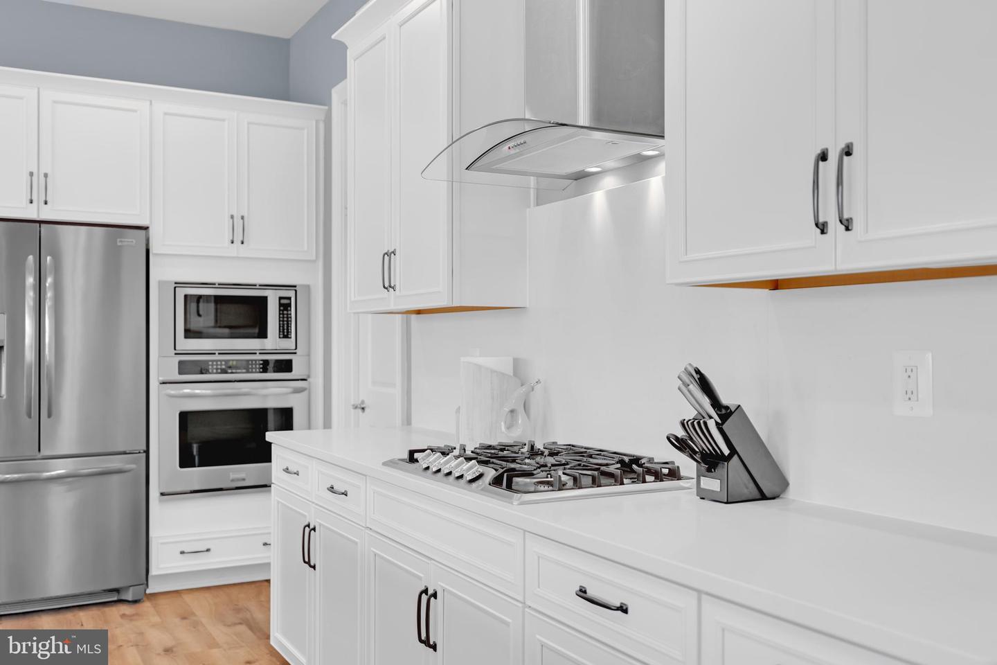 40938 MUNSON WOODS PL, ALDIE, Virginia 20105, 5 Bedrooms Bedrooms, ,4 BathroomsBathrooms,Residential,For sale,40938 MUNSON WOODS PL,VALO2113912 MLS # VALO2113912