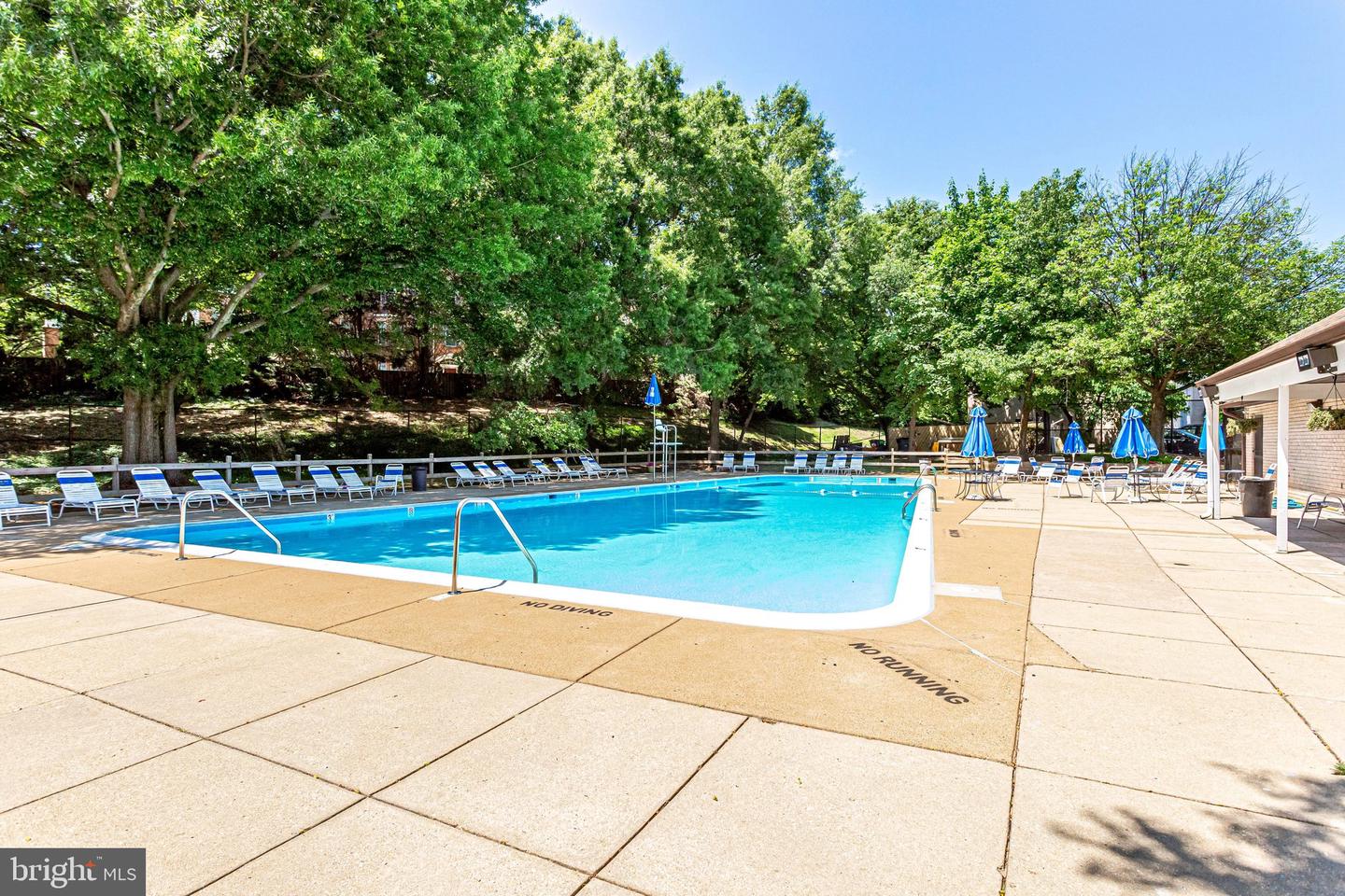 5612 BLOOMFIELD DR #204, ALEXANDRIA, Virginia 22312, 1 Bedroom Bedrooms, ,1 BathroomBathrooms,Residential,For sale,5612 BLOOMFIELD DR #204,VAFX2286310 MLS # VAFX2286310