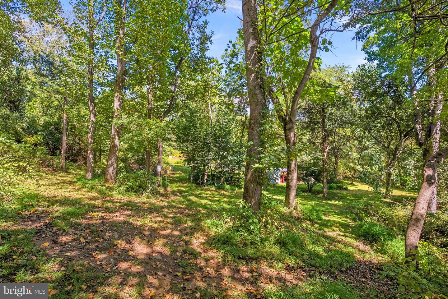 39857 THOMAS MILL RD, LEESBURG, Virginia 20175, 4 Bedrooms Bedrooms, ,2 BathroomsBathrooms,Residential,For sale,39857 THOMAS MILL RD,VALO2114180 MLS # VALO2114180