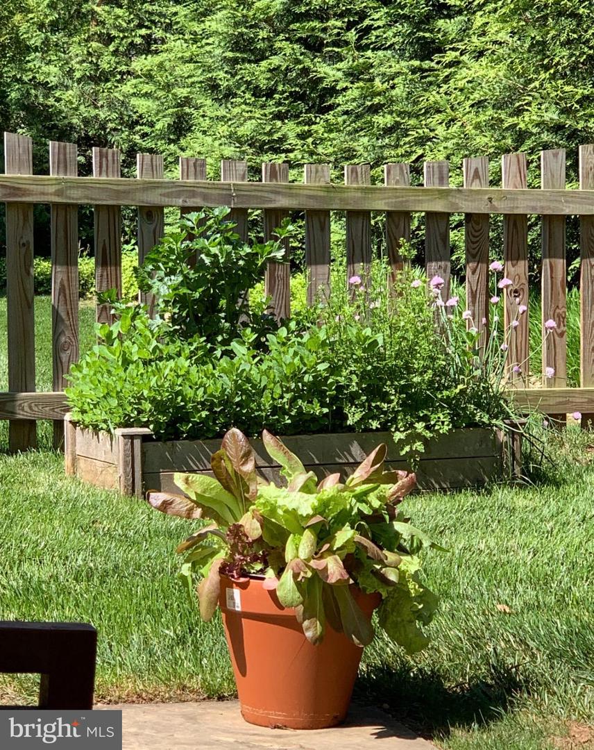 1201 ALLENDALE RD, MCLEAN, Virginia 22101, 5 Bedrooms Bedrooms, 8 Rooms Rooms,3 BathroomsBathrooms,Residential,For sale,1201 ALLENDALE RD,VAFX2286748 MLS # VAFX2286748