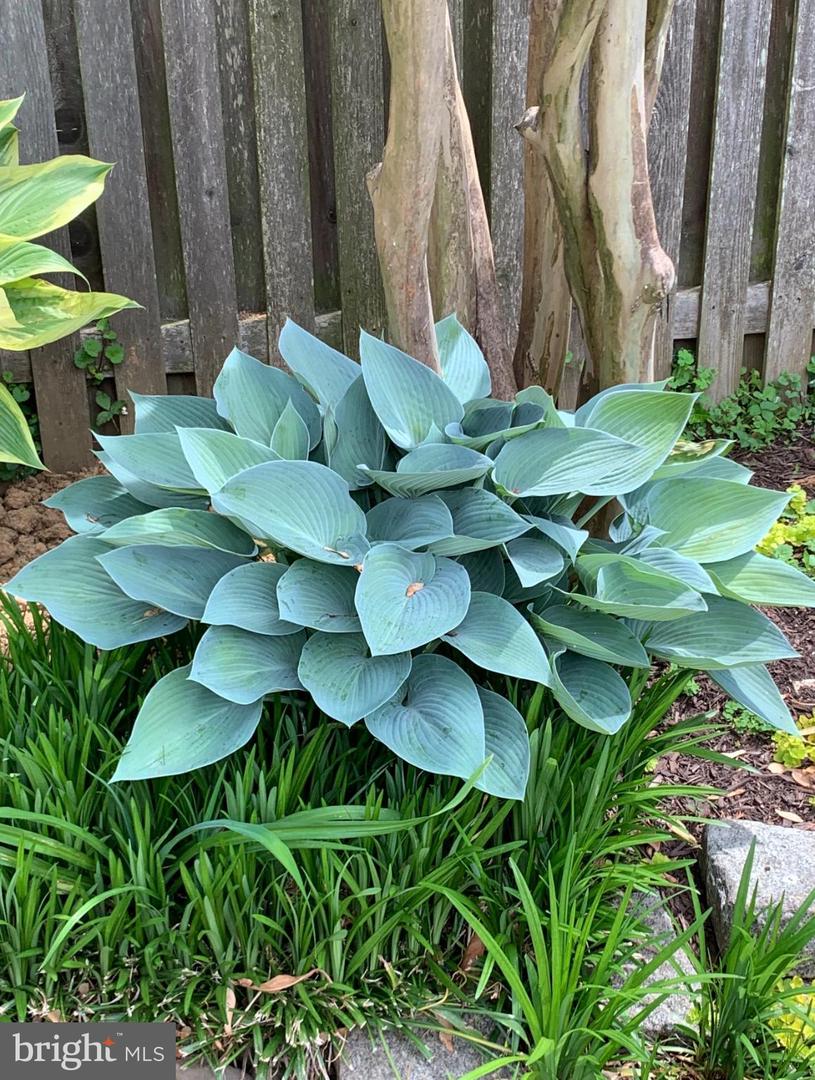 1201 ALLENDALE RD, MCLEAN, Virginia 22101, 5 Bedrooms Bedrooms, 8 Rooms Rooms,3 BathroomsBathrooms,Residential,For sale,1201 ALLENDALE RD,VAFX2286748 MLS # VAFX2286748