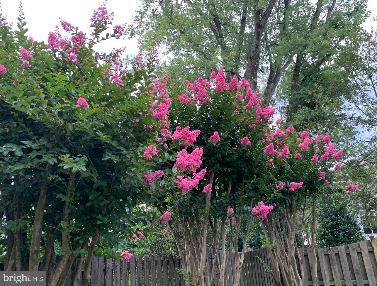 1201 ALLENDALE RD, MCLEAN, Virginia 22101, 5 Bedrooms Bedrooms, 8 Rooms Rooms,3 BathroomsBathrooms,Residential,For sale,1201 ALLENDALE RD,VAFX2286748 MLS # VAFX2286748