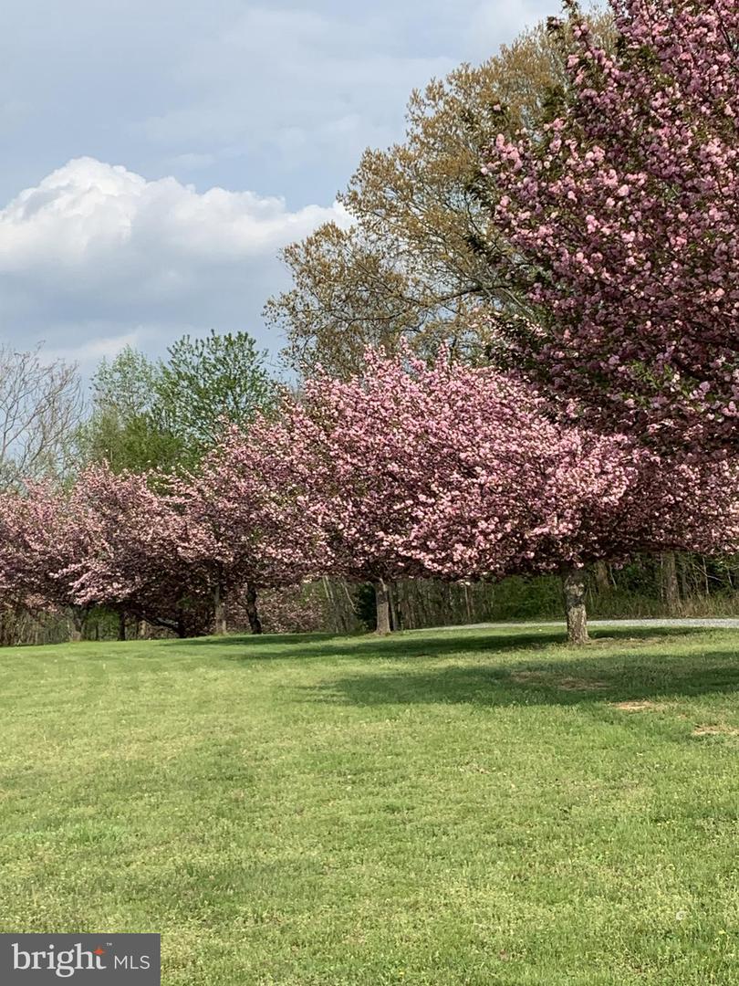 30 IRONWOOD, MONTROSS, Virginia 22520, 4 Bedrooms Bedrooms, ,2 BathroomsBathrooms,Residential,For sale,30 IRONWOOD,VAWE2010402 MLS # VAWE2010402 30 IRONWOOD, MONTROSS, Virginia 22520, 4 Bedrooms Bedrooms, ,2 BathroomsBathrooms,Residential,For sale,30 IRONWOOD,VAWE2010402 MLS # VAWE2010402