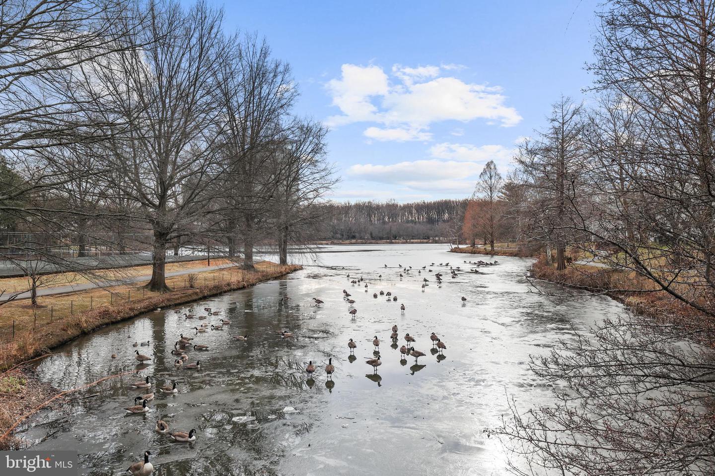 7748 NEW PROVIDENCE DR #85, FALLS CHURCH, Virginia 22042, 1 Bedroom Bedrooms, ,1 BathroomBathrooms,Residential,For sale,7748 NEW PROVIDENCE DR #85,VAFX2287048 MLS # VAFX2287048