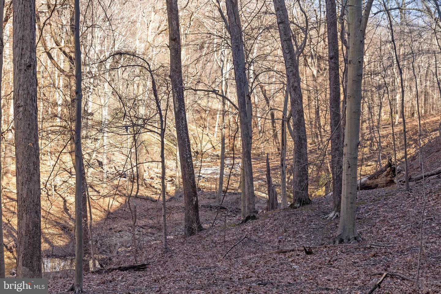 3001 VEAZEY NW #116, WASHINGTON, District Of Columbia 20008, 2 Bedrooms Bedrooms, ,2 BathroomsBathrooms,Residential,For sale,3001 VEAZEY NW #116,DCDC2242878 MLS # DCDC2242878