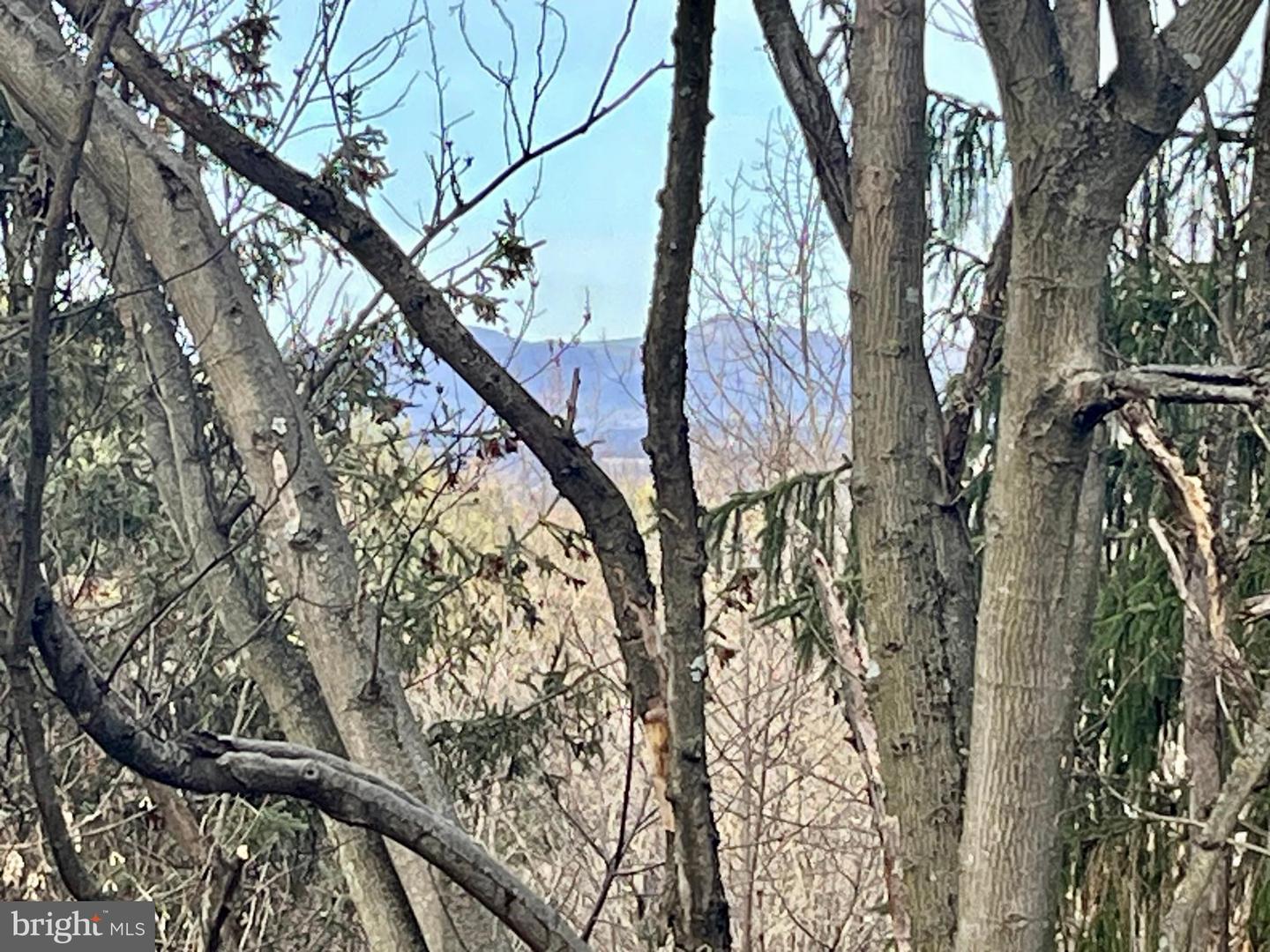 347 RESTMORE LN, STANLEY, Virginia 22851, 3 Bedrooms Bedrooms, ,2 BathroomsBathrooms,Residential,For sale,347 RESTMORE LN,VAPA2005924 MLS # VAPA2005924