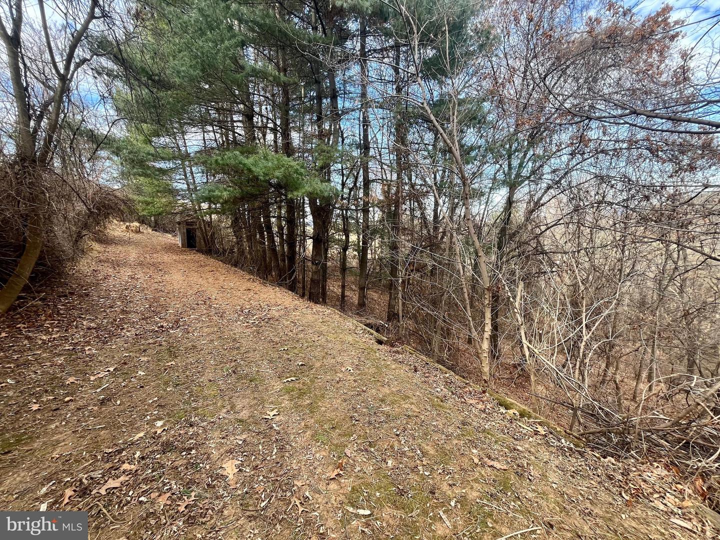 347 RESTMORE LN, STANLEY, Virginia 22851, 3 Bedrooms Bedrooms, ,2 BathroomsBathrooms,Residential,For sale,347 RESTMORE LN,VAPA2005924 MLS # VAPA2005924