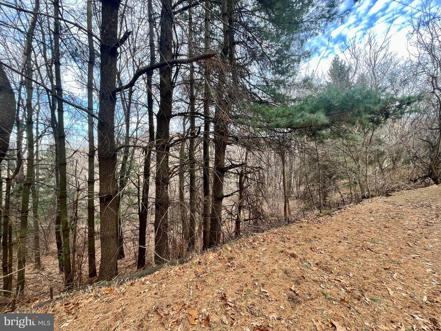 347 RESTMORE LN, STANLEY, Virginia 22851, 3 Bedrooms Bedrooms, ,2 BathroomsBathrooms,Residential,For sale,347 RESTMORE LN,VAPA2005924 MLS # VAPA2005924