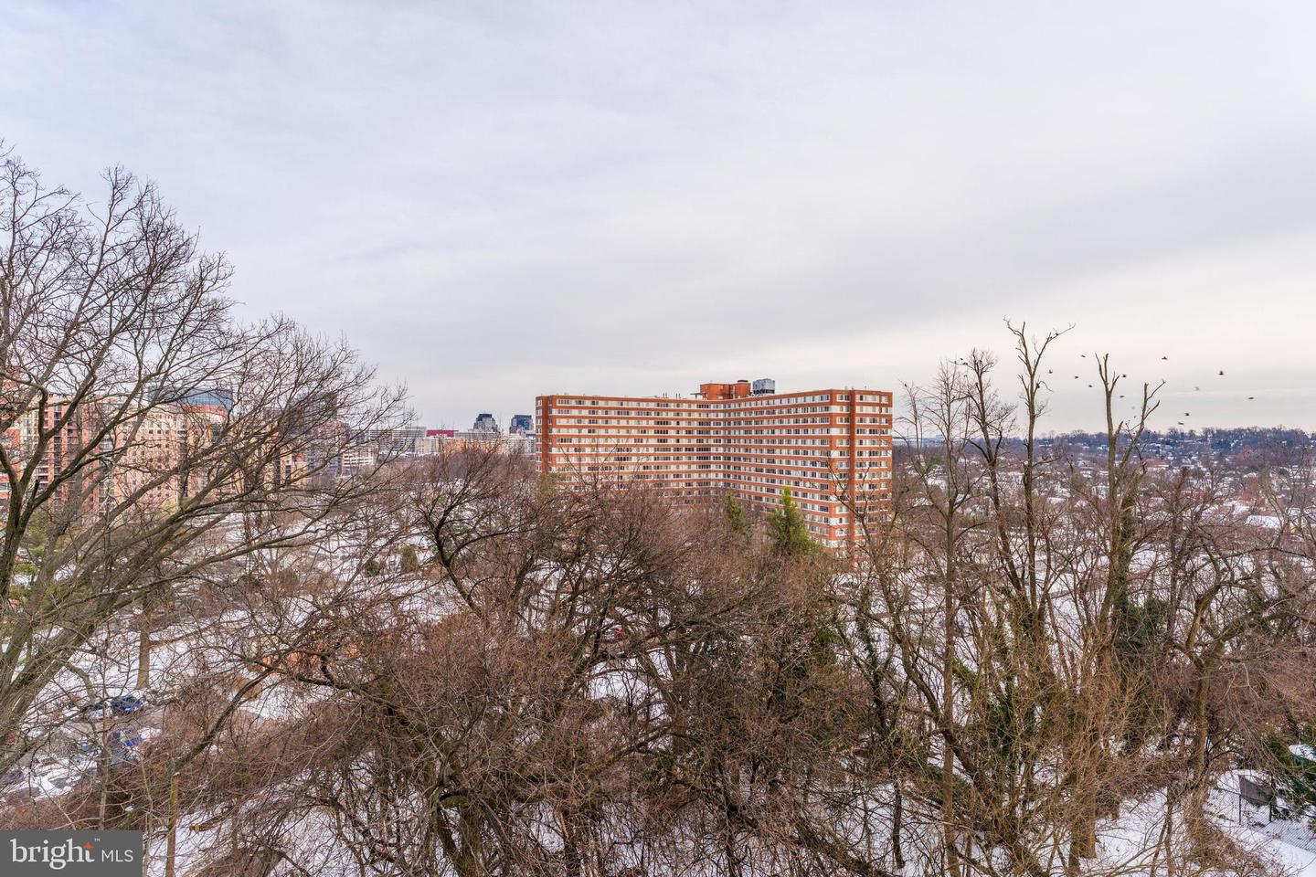 1515 S ARLINGTON RIDGE RD #504, ARLINGTON, Virginia 22202, 1 Bedroom Bedrooms, ,1 BathroomBathrooms,Residential,For sale,1515 S ARLINGTON RIDGE RD #504,VAAR2068108 MLS # VAAR2068108