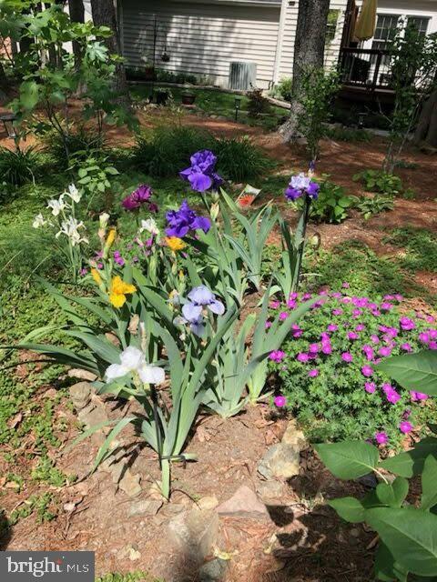 6125 SANDSTONE CT, CLIFTON, Virginia 20124, 4 Bedrooms Bedrooms, ,2 BathroomsBathrooms,Residential,For sale,6125 SANDSTONE CT,VAFX2287520 MLS # VAFX2287520