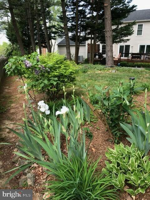 6125 SANDSTONE CT, CLIFTON, Virginia 20124, 4 Bedrooms Bedrooms, ,2 BathroomsBathrooms,Residential,For sale,6125 SANDSTONE CT,VAFX2287520 MLS # VAFX2287520