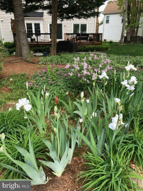 6125 SANDSTONE CT, CLIFTON, Virginia 20124, 4 Bedrooms Bedrooms, ,2 BathroomsBathrooms,Residential,For sale,6125 SANDSTONE CT,VAFX2287520 MLS # VAFX2287520