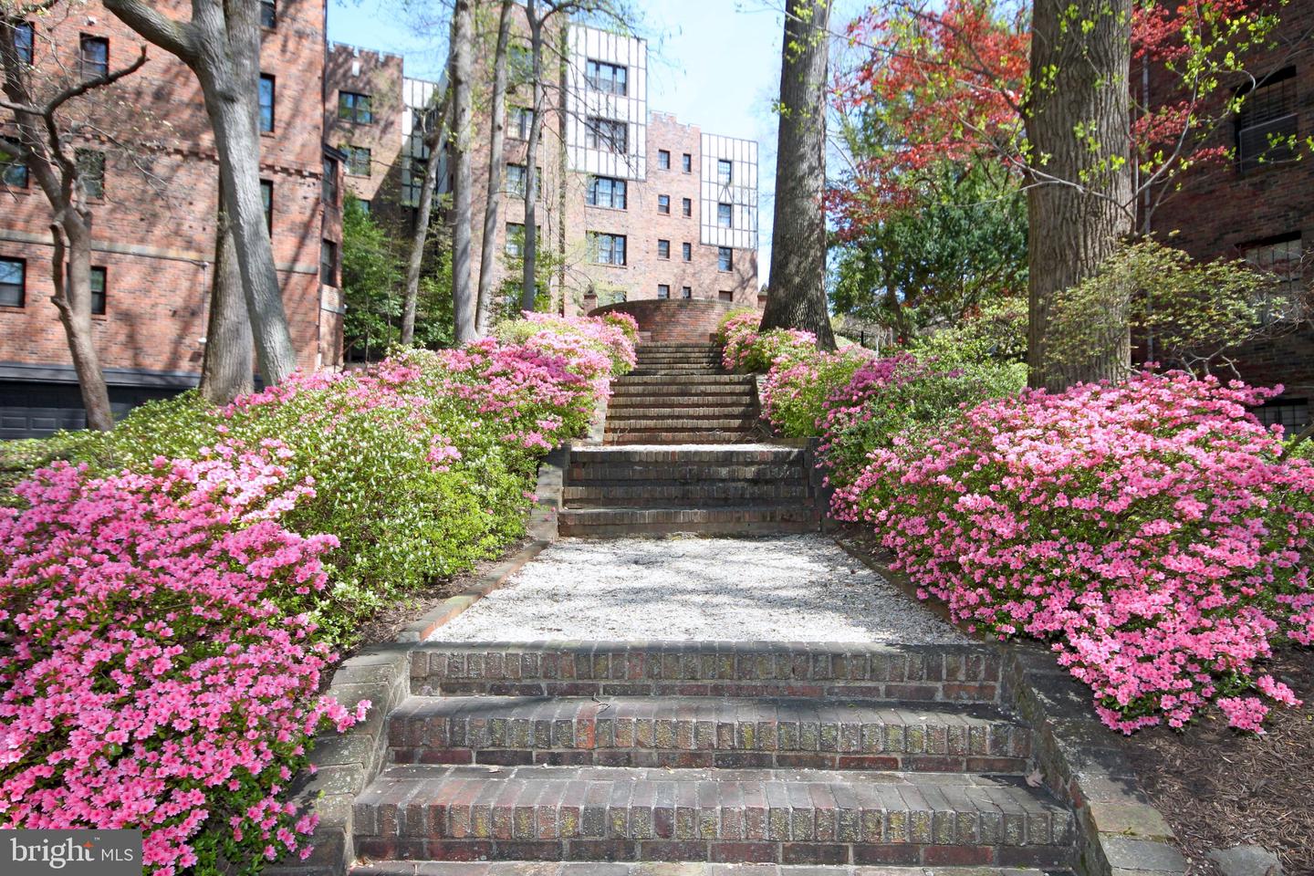 3020 TILDEN ST NW #104, WASHINGTON, District Of Columbia 20008, 2 Bedrooms Bedrooms, 8 Rooms Rooms,1 BathroomBathrooms,Residential,For sale,3020 TILDEN ST NW #104,DCDC2243496 MLS # DCDC2243496