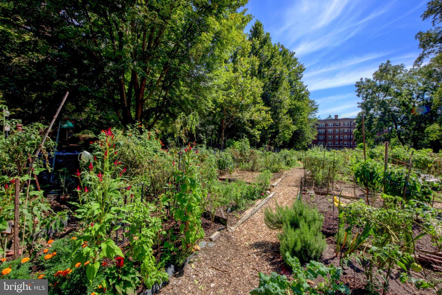 3020 TILDEN ST NW #104, WASHINGTON, District Of Columbia 20008, 2 Bedrooms Bedrooms, 8 Rooms Rooms,1 BathroomBathrooms,Residential,For sale,3020 TILDEN ST NW #104,DCDC2243496 MLS # DCDC2243496